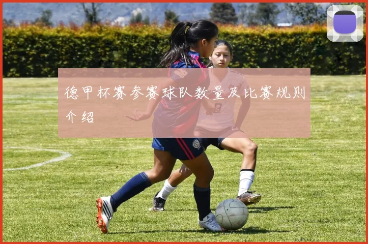 德甲杯赛参赛球队数量及比赛规则介绍