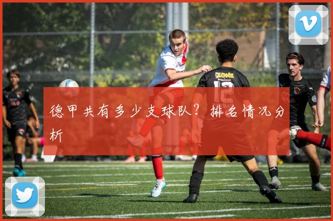 德甲共有多少支球队？排名情况分析