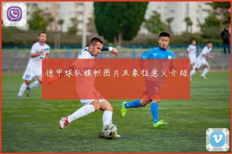 德甲球队旗帜图片及象征意义介绍