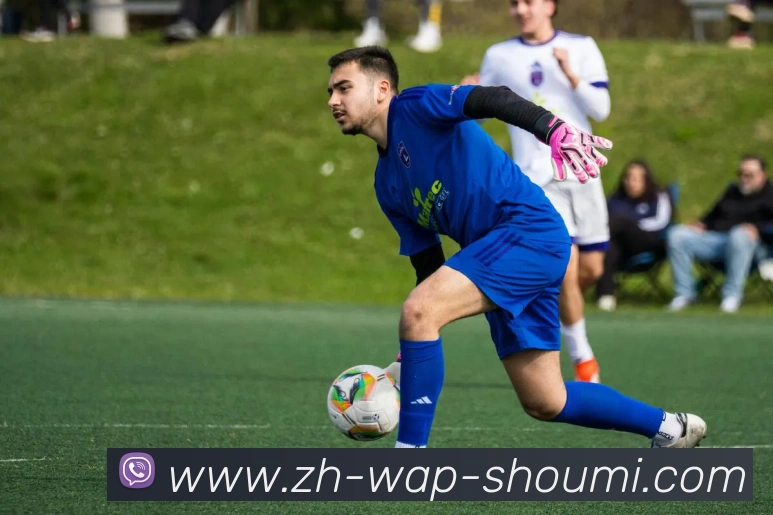 收米体育直播平台生态图