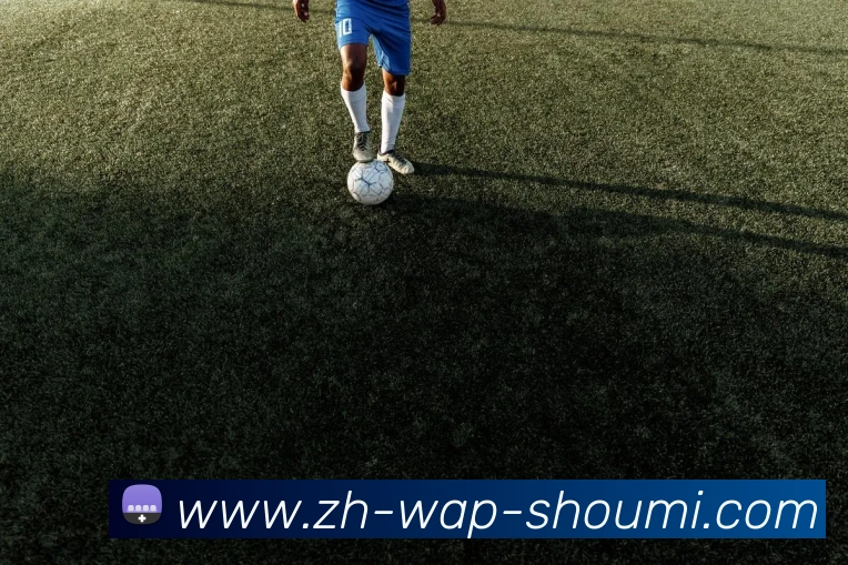 收米体育直播APP 封面图